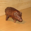 Divok